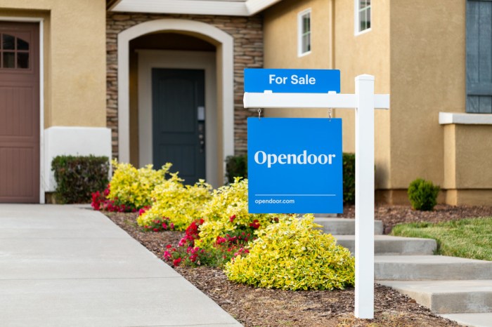 Opendoor Launches in Los Angeles, Making It Easier to Buy and Sell ...